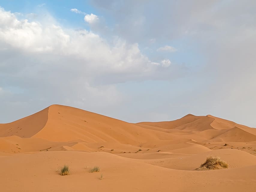 Large copper colored sand dunes in the middle of the Sahara desert.