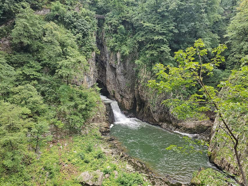 A fast rushing river comes out of the rocks and into a pool surrounded by rocks and trees.