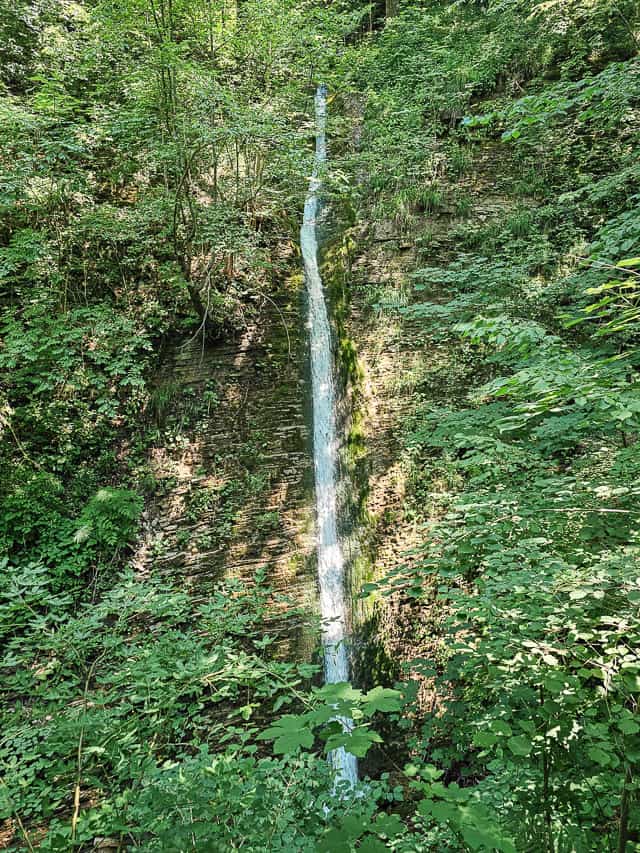 A very tall waterfall goes down over a cliff face and out of sight into a pool with lots of trees and plants around it.