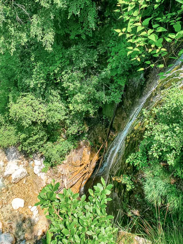 Tiny streams of water slide down rocks and roots of trees down behind large plants and trees where the waterfall disappears.