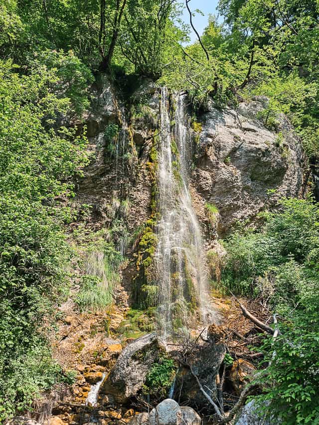 Many different streams cascade down a cliff and into a pool, with trees and plants all around it.
