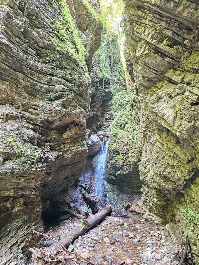 A waterfall drops down into a pool with towering, undulating, moss-covered cliff walls around it.