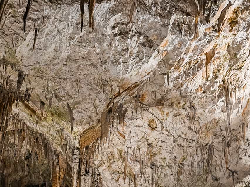 A cavern ceiling is covered with very small stalactites and sheets of combined stalactites.