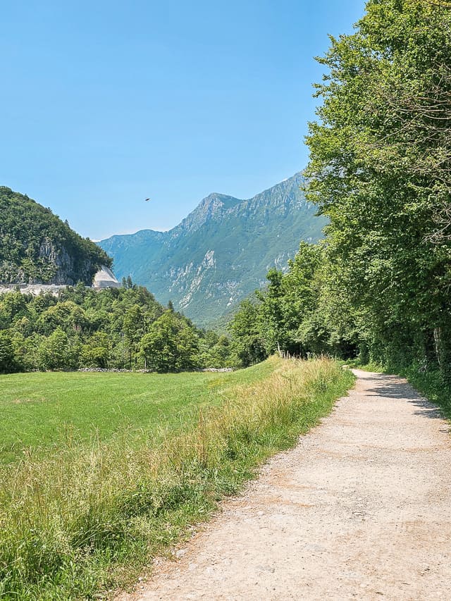 A gravel trail with a field of grass with mountains in the background.