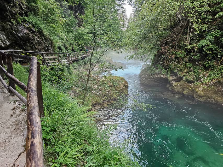 A rushing river intertwines through the forest with a rock sidewalk with woods railings and vines and ferns all around.