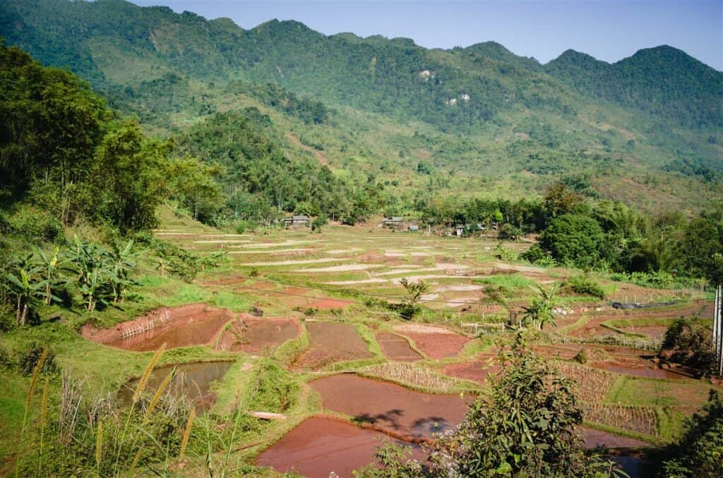A field at the base of a lush forest hill with mud puddles all over the field.