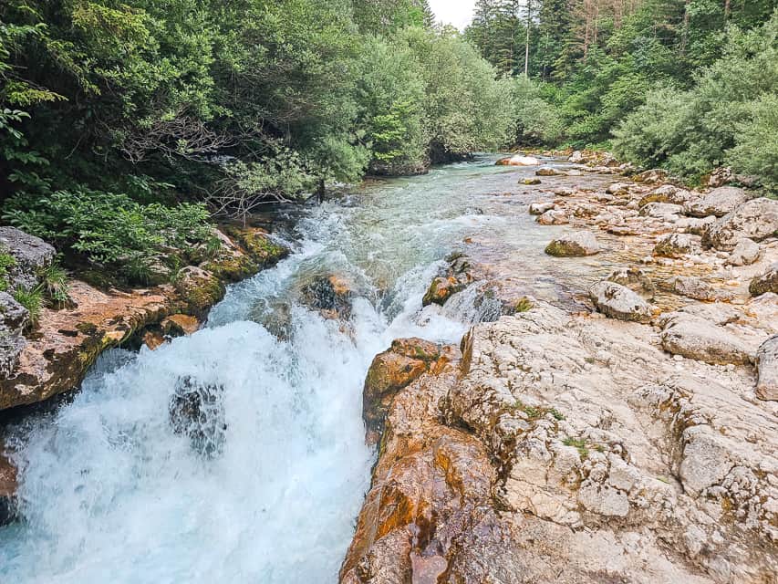 Blue water crashes down some small rocks in to the gorge and canyon walls wiht green forest on the sides.