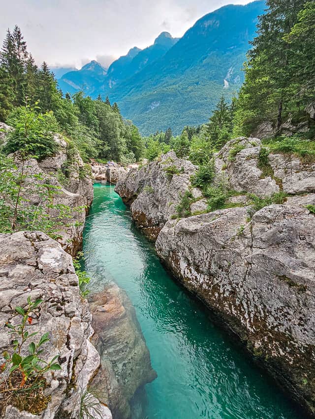 The Soca River continues down the rock canyon with large tree mountains standing in the background.