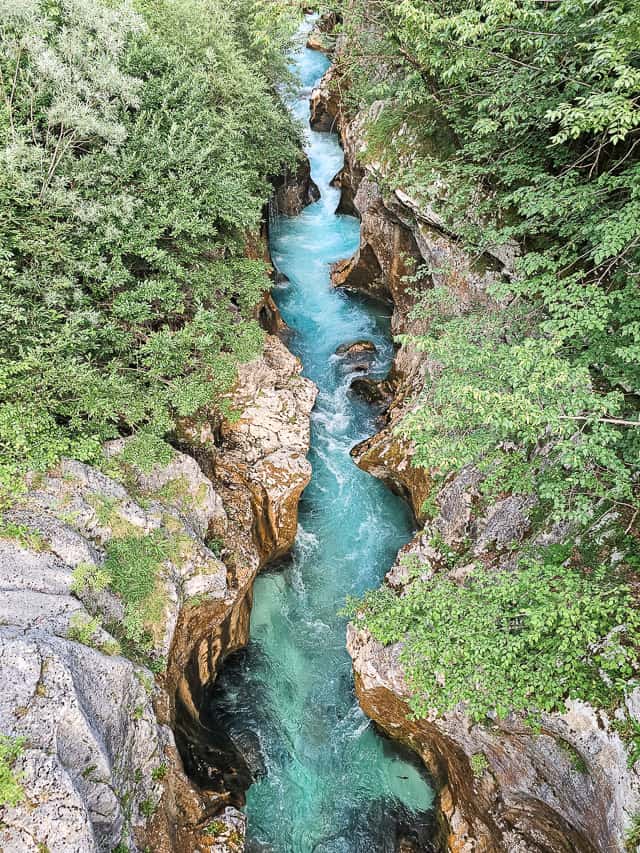 A blue river crashes through a tight rock canyon with ferns on both sides.