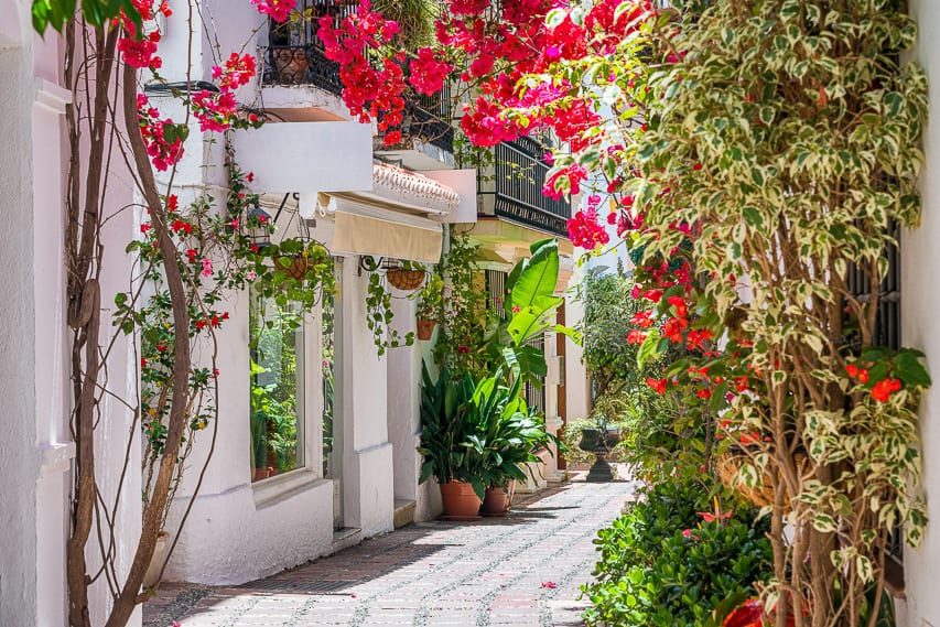 A vibrant floral gateway with white buildings stand in the middle of a spacious alley.