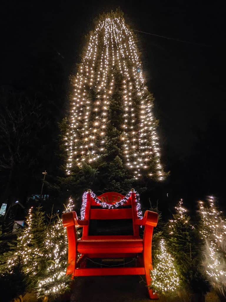 A large Christmas tree with strands of lights covering all sides of the tree. In front of the tree there is a red chair with a garland over the top.