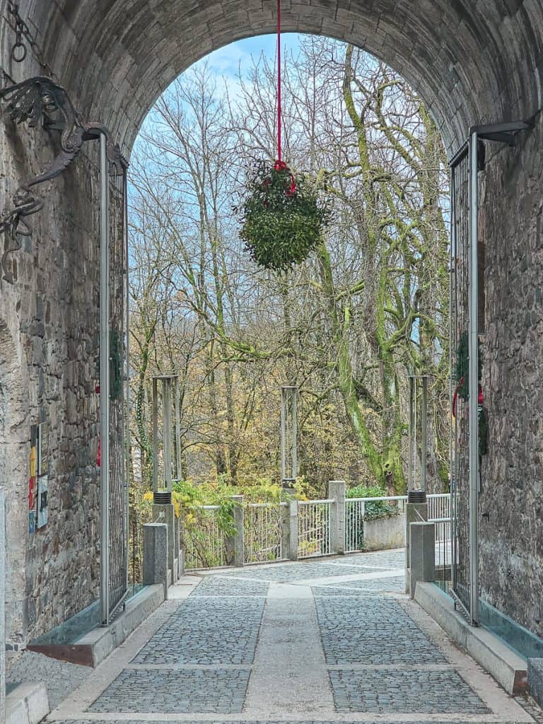 A large clump of mistletoe hanging in the courtyard of a church at the Ljubljana Christmas markets.
