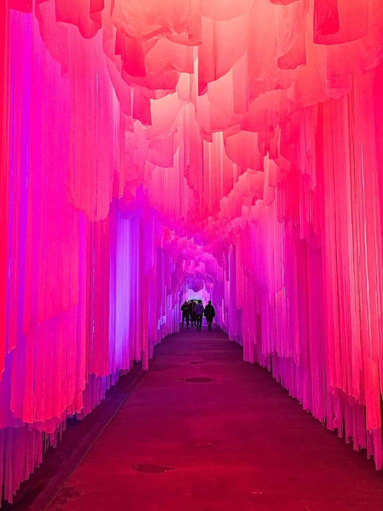 The sheets of ice that keep going down the alley turn shades of bright pink.