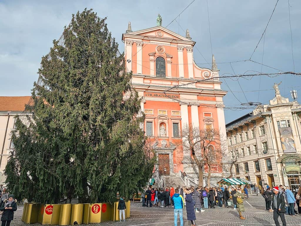 A HUGE christmas tree in the middle of the town with a pink cathedral right behind it with lots of people walking around.