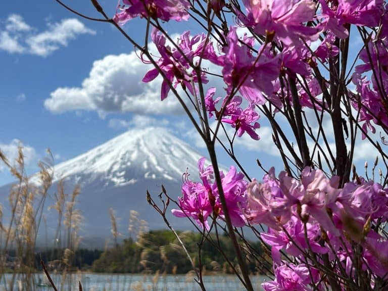 Overtourism Is Becoming a Major Problem—This Is How 5 Countries Are Tackling The Issue